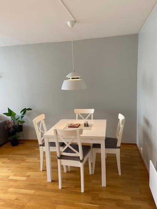 Koselig Kjellerleilighet Ca 25 Minutter Kjoring Fra Sentrum Apartment *